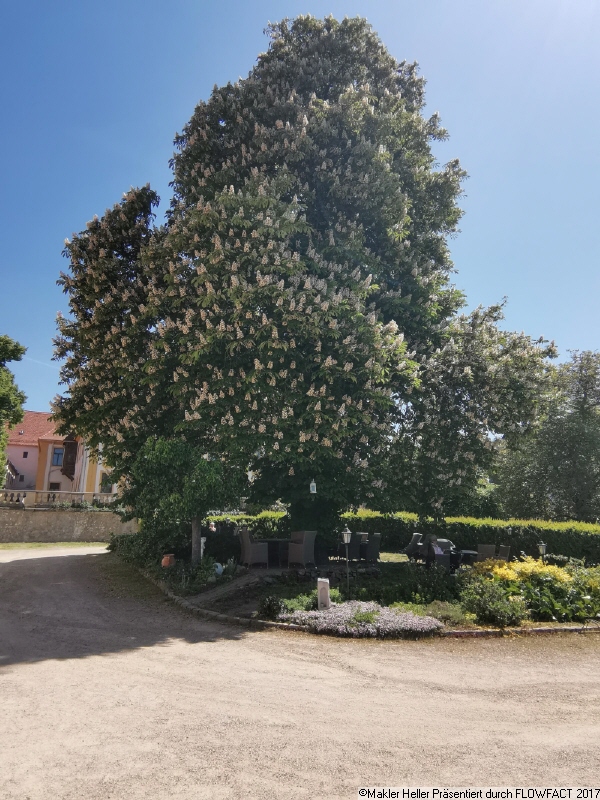 7 Gastgarten