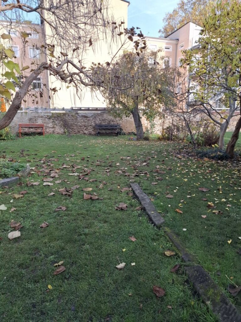 5 Garten