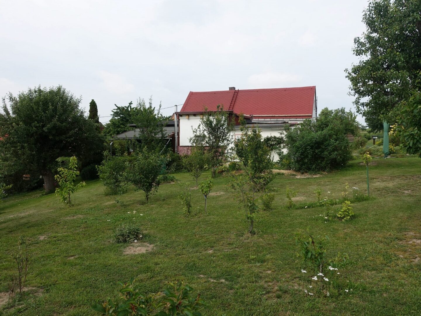 3 Garten