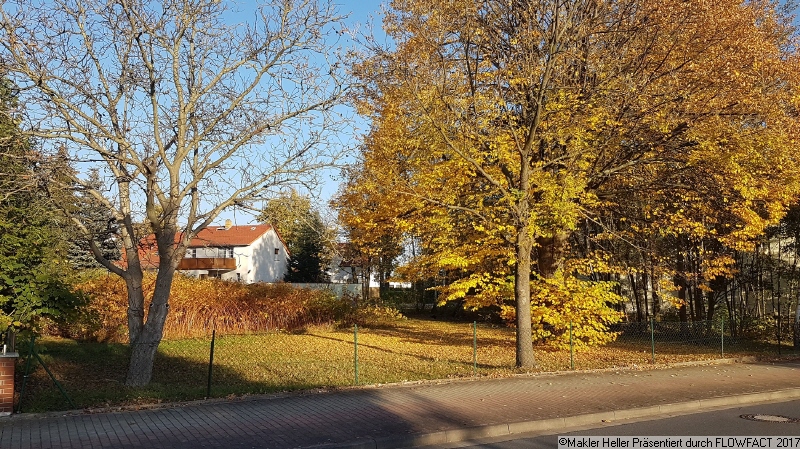 Grundstück 1